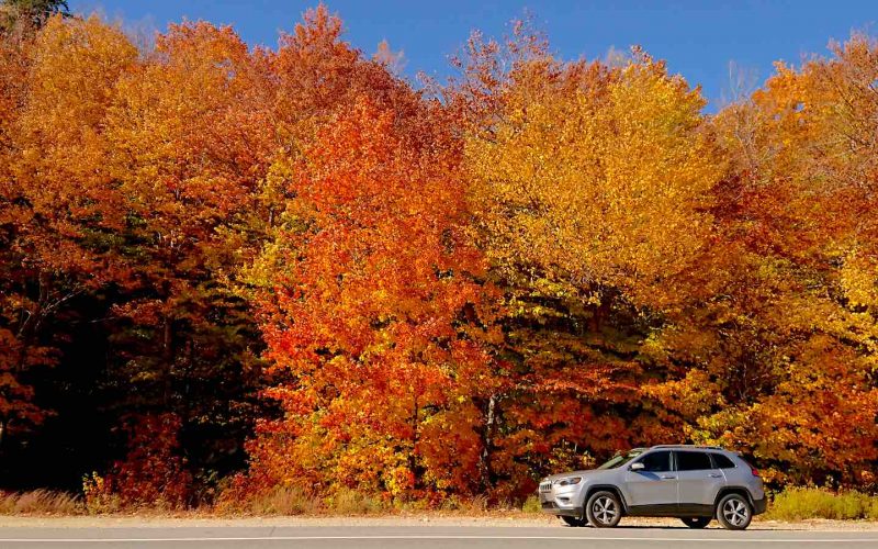 indian summer neuengland header klein indian summer neuengland header klein